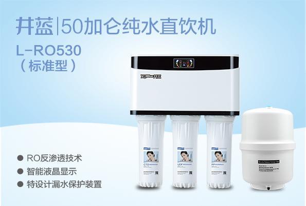2013年中国十大净水器，厨房家用直饮纯水机